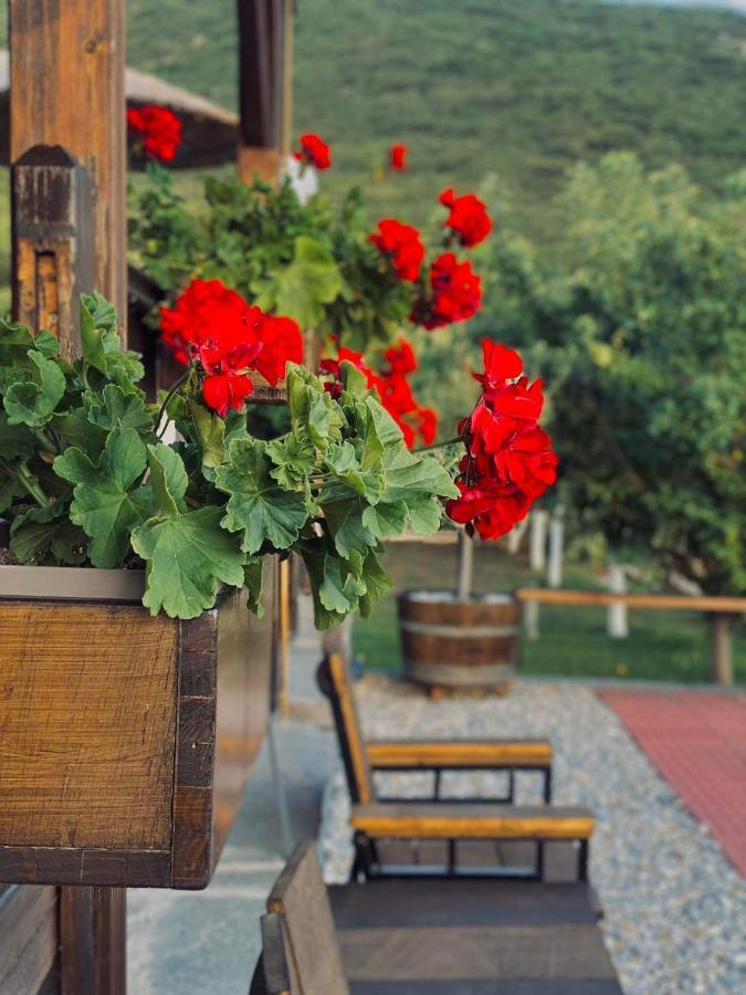 λωτοσ Holiday home Kavala